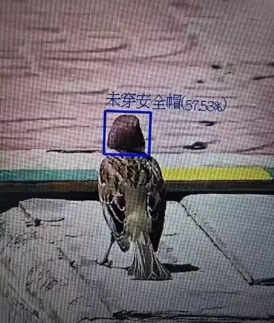 via 6号沙雕网友