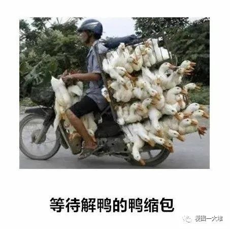 via 桐山绫忻from 心惊报