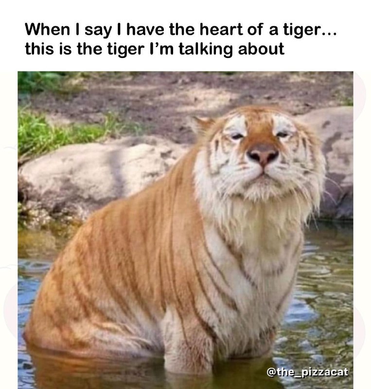 我心有猛虎的虎是指这个