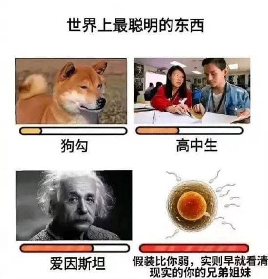 via 7号沙雕网友