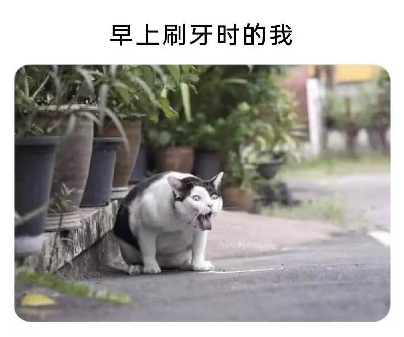 via 7号沙雕网友