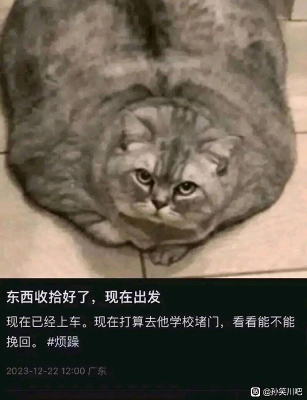 via 犯罪嫌疑人张某via 犯罪嫌疑人张某