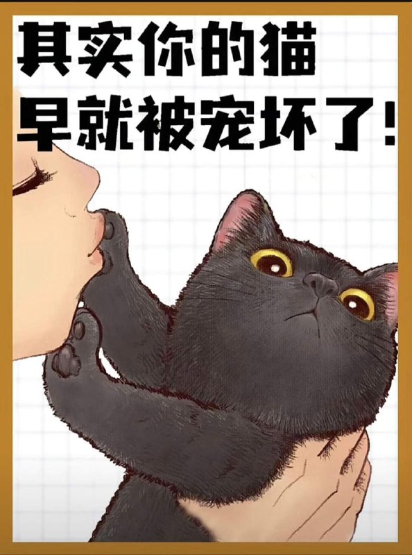 from 猫猫窝🐈🐈‍⬛from 猫猫窝🐈🐈‍⬛