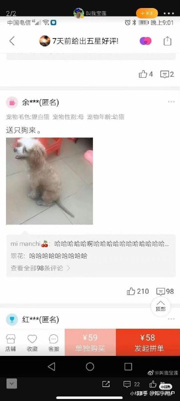 逆天via Czk 半死不活逆天via Czk 半死不活