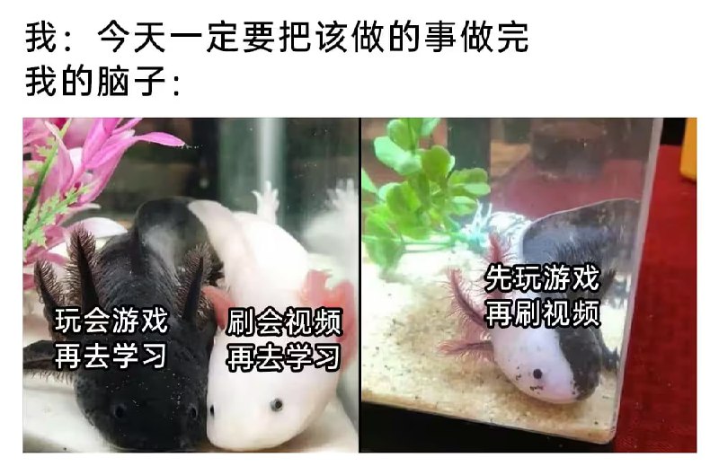 via 6号沙雕网友