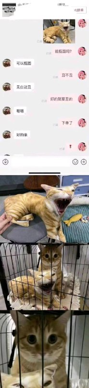 via 7号沙雕网友