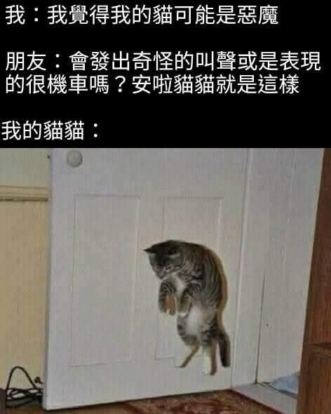 from 什麼都來點 via DECADE