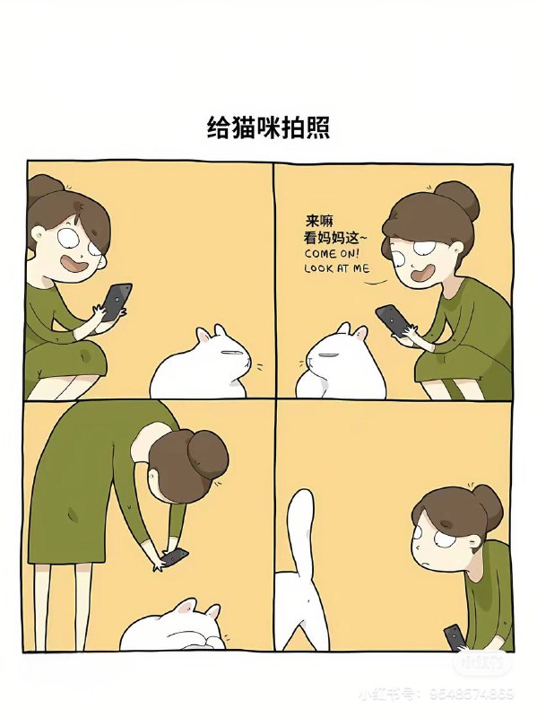 via N&M WANGvia N&M WANG