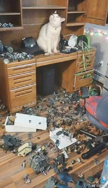 via 7号沙雕网友