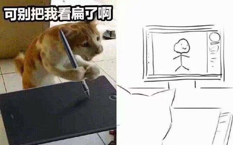 from 猫猫窝🐈🐈‍⬛️