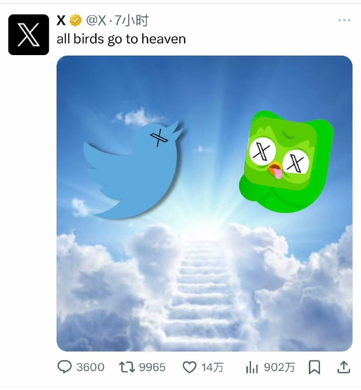 神金from rvalue的生草日常