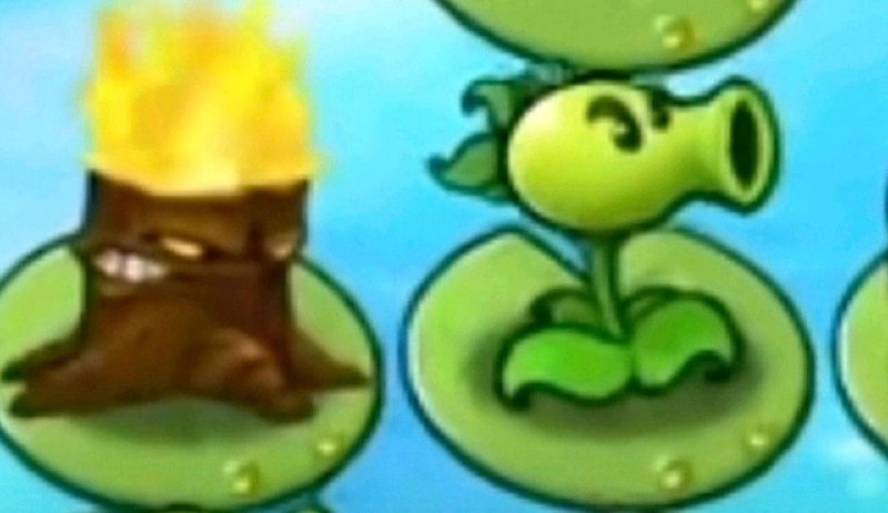 via my nbklsvia my nbkls