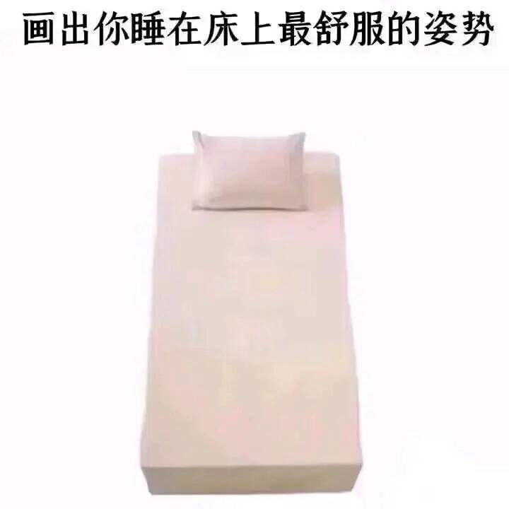 from 猫猫窝🐱from 猫猫窝🐱