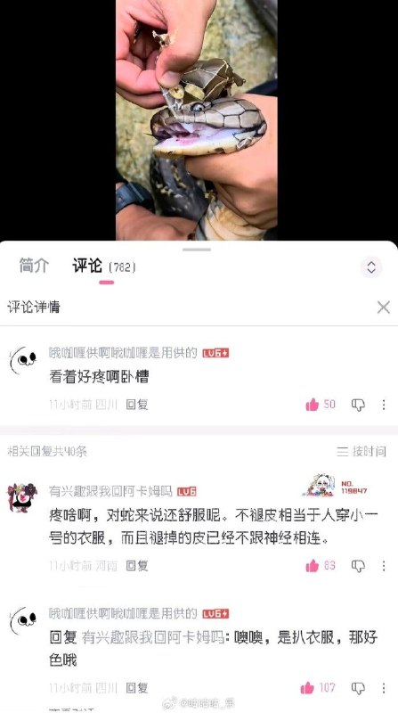 via 哈次捏米库