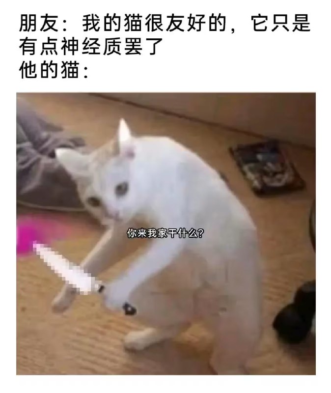 via 6号沙雕网友