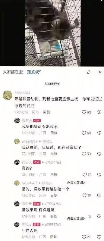 via 犯罪嫌疑人张某