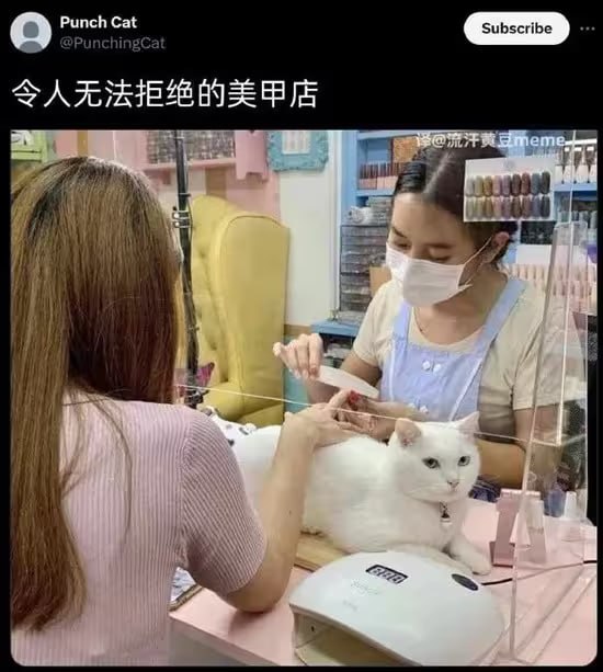 via 6号沙雕网友