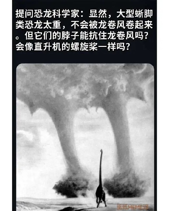 via Meng Xin