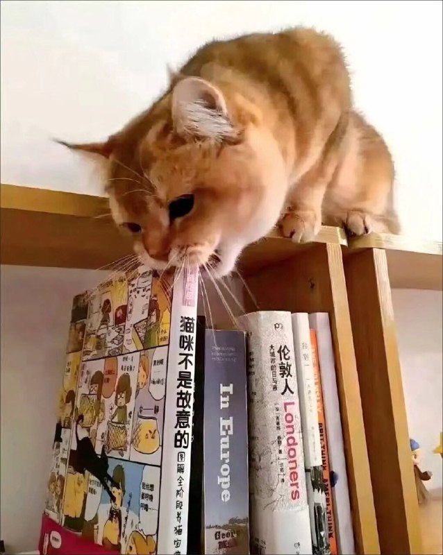 from Haruki Kirigaya