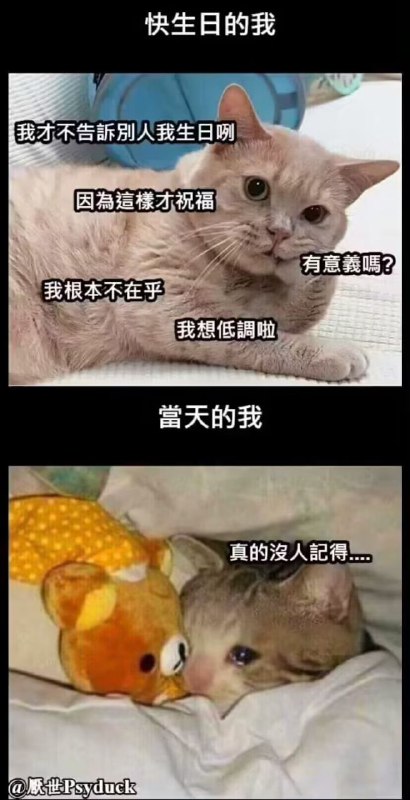 via 喵