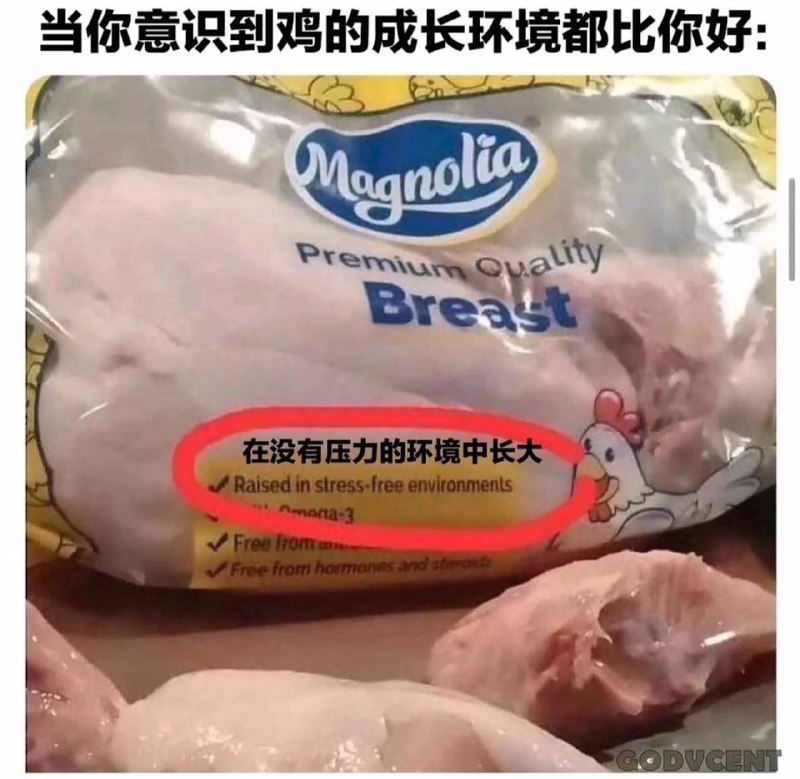 via 犯罪嫌疑人张某