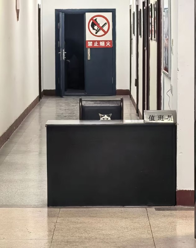 via 8号沙雕网友