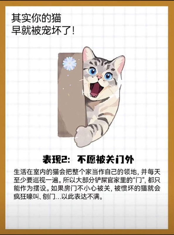from 猫猫窝🐈🐈‍⬛from 猫猫窝🐈🐈‍⬛