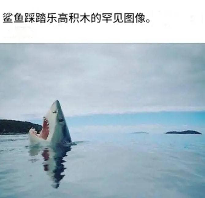 via 7号沙雕网友