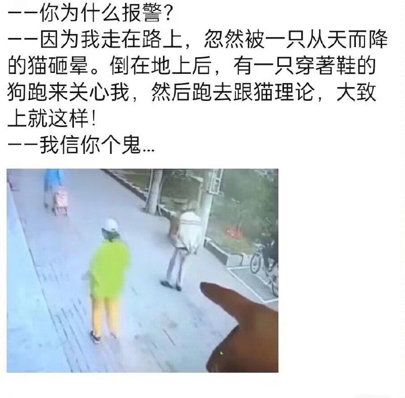 via 🐟from 心惊报文件下载助手via 🐟from 心惊报文件下载助手