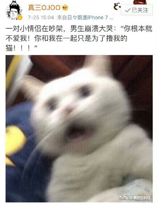 from 猫猫窝🐈🐈‍⬛from 猫猫窝🐈🐈‍⬛