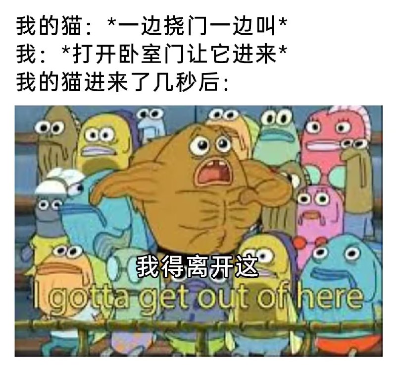 via 6号沙雕网友