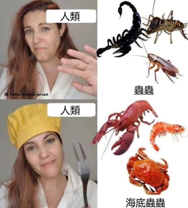 #投稿