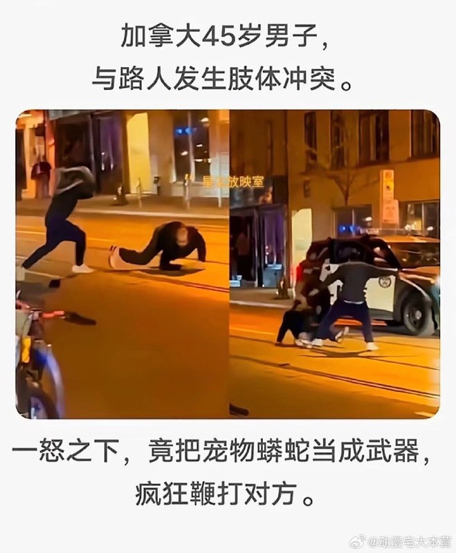 能够熟练使用Python，并且有实战攻防经验from ㅤ