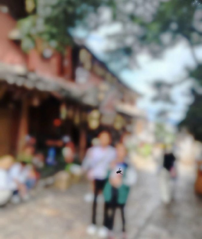 极限对焦🌚from 平壤卫视