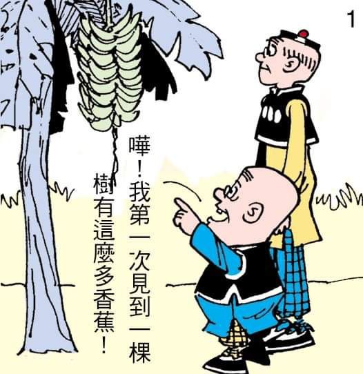 香蕉樹from 什麼都來點 via DECADE香蕉樹from 什麼都來點 via DECADE