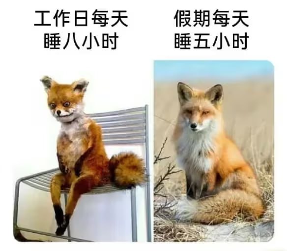via 7号沙雕网友
