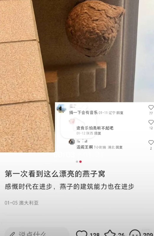from ⚠️ 美图与沙雕 ⚠️｜频道可能会变质，但……