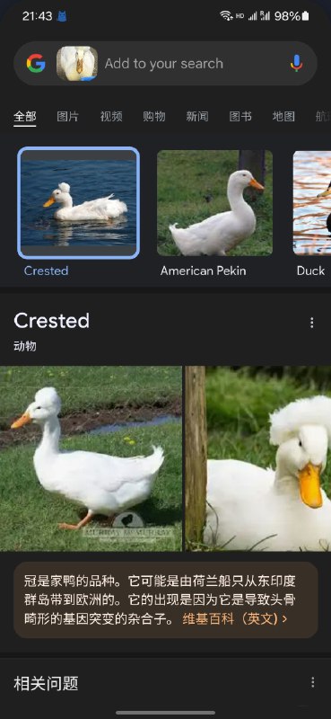 感觉不如Google AI（