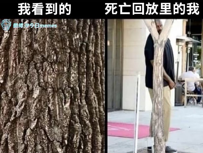 via 油菜花终结者