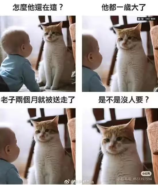 via 6号沙雕网友