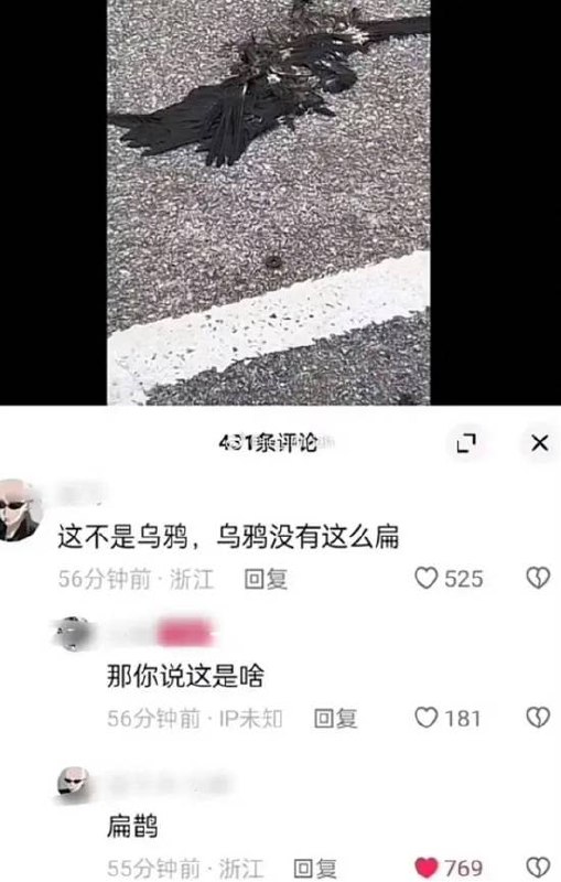 via 7号沙雕网友