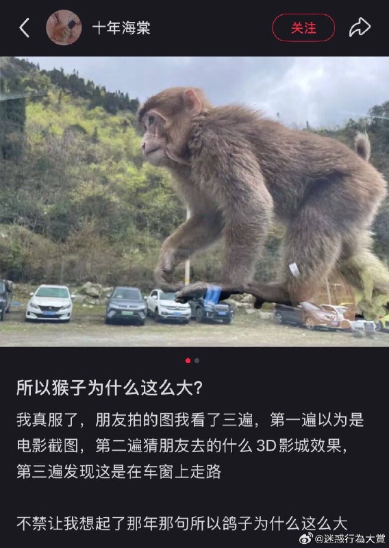 from 咕咕咕 卖掉了~