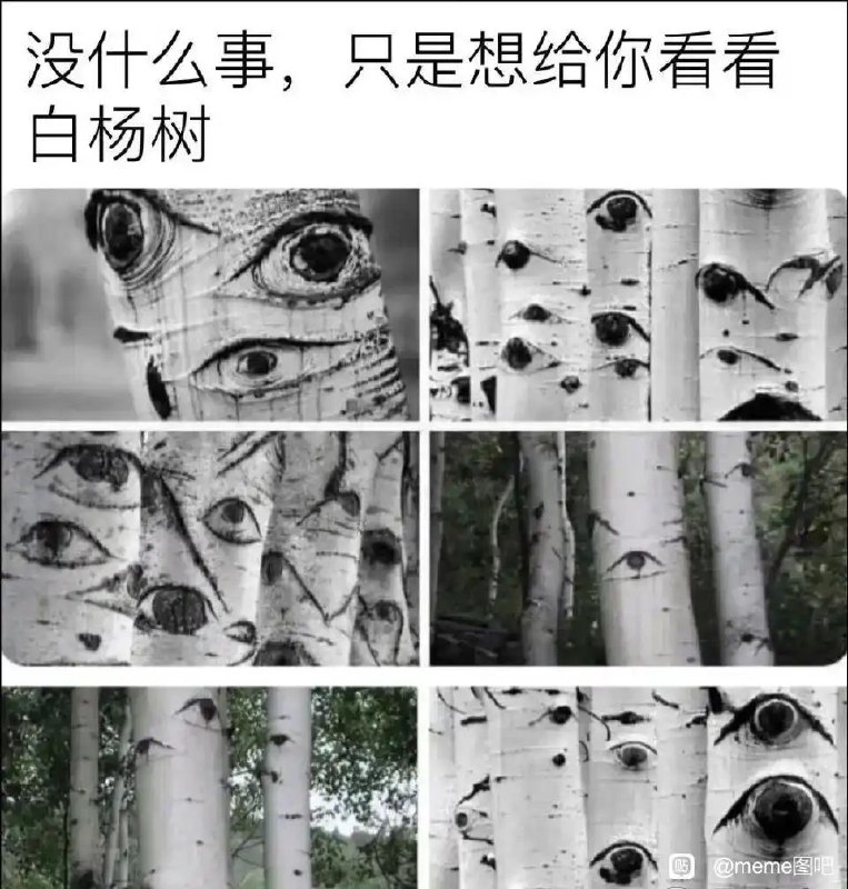 via 8号沙雕网友
