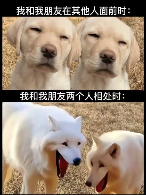 via 6号沙雕网友