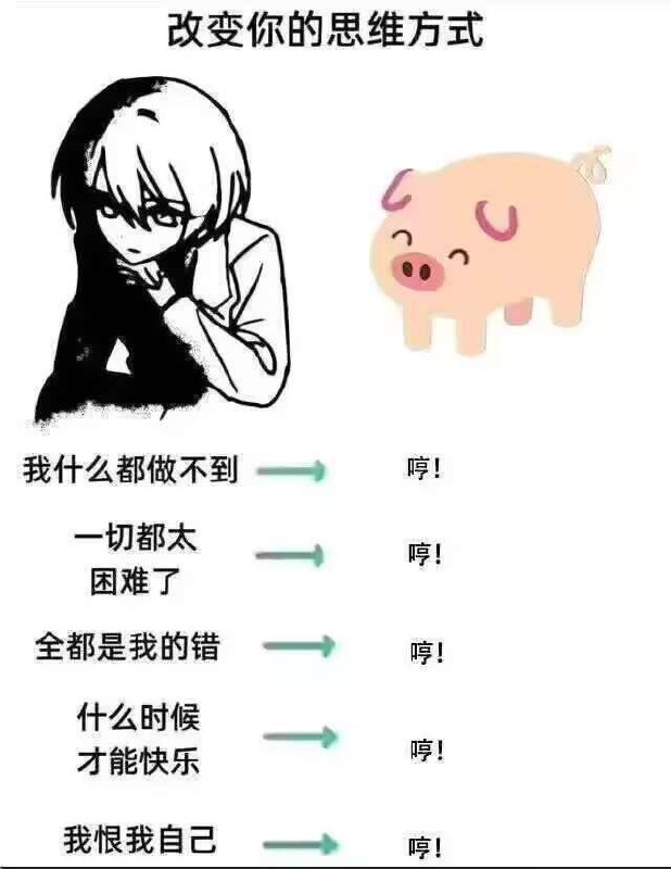 from 美图与沙雕