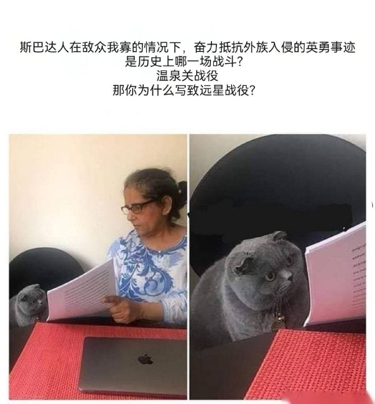 via 飞天 小松鼠