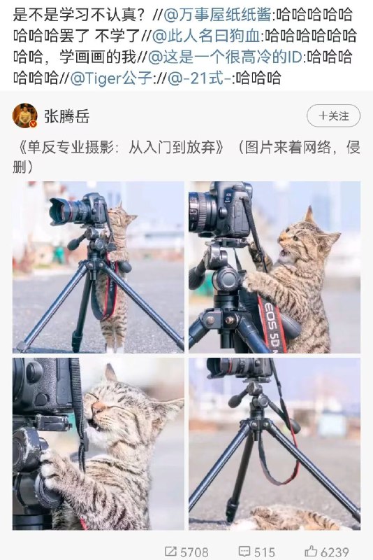 from 二刺猿日常