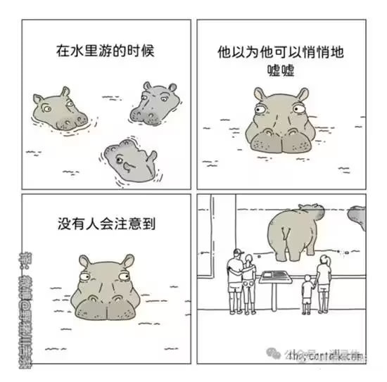 via 7号沙雕网友