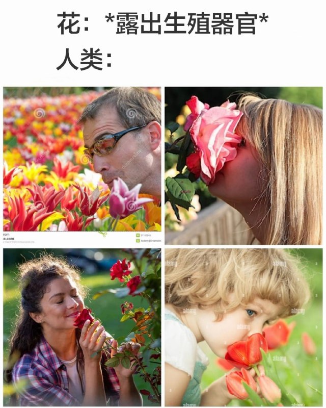 via 6号沙雕网友