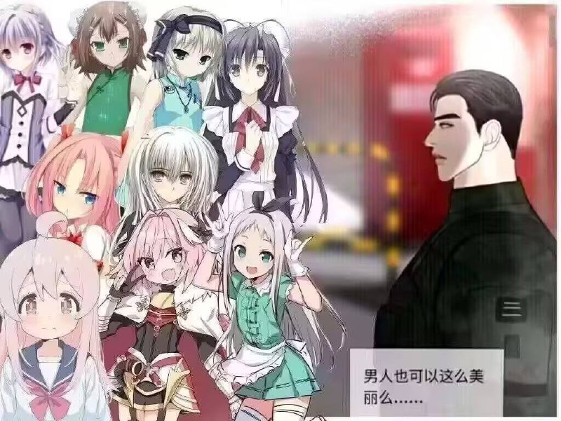 from 纷飞的小窝